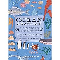 洋書 The Julia Rothman Collection The Julia Rothman Collection Boxset — Julia Rothman